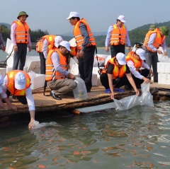 Giải pháp bảo vệ nguồn lợi thủy sản